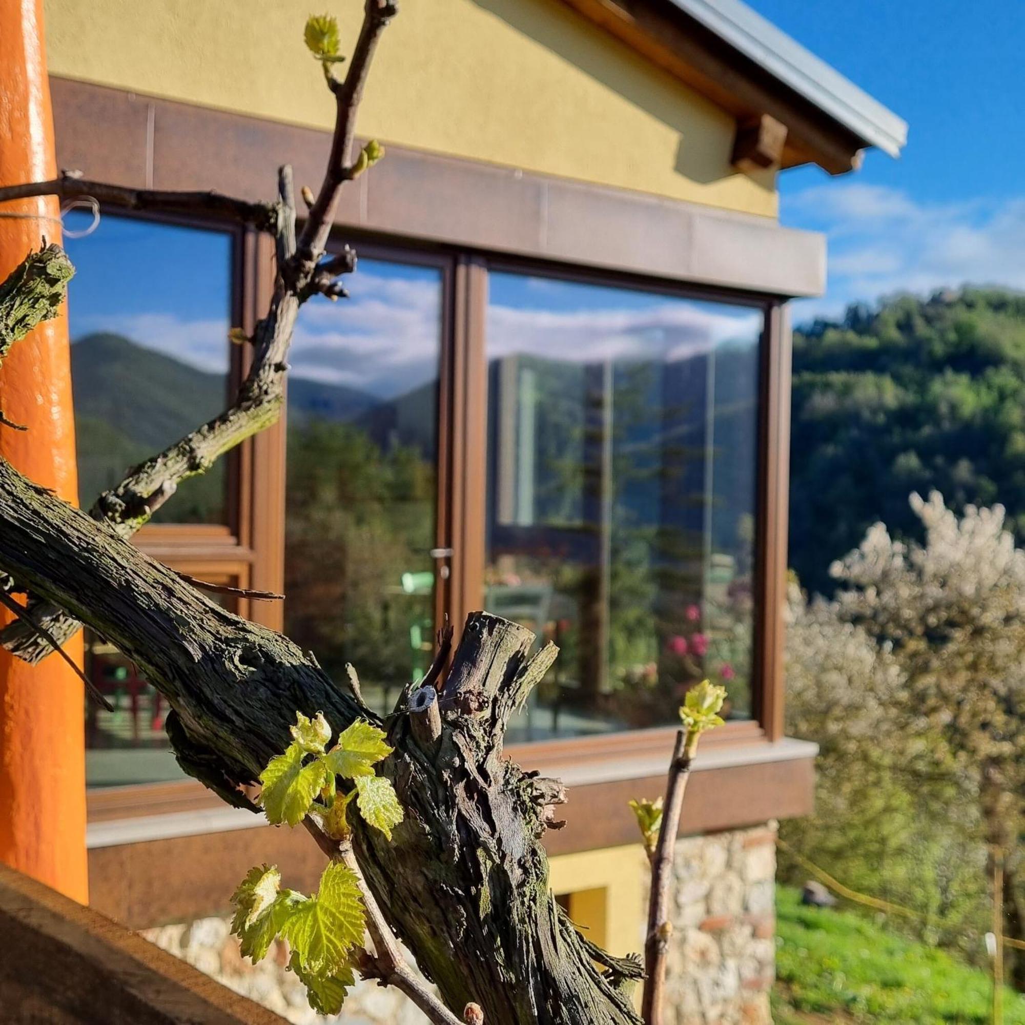 La Botalla Agriturismo Lisio Exterior photo